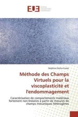 Méthode des Champs Virtuels pour la viscoplasticité et l'endommagement