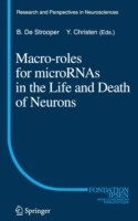 Macro Roles for MicroRNAs in the Life and Death of Neurons