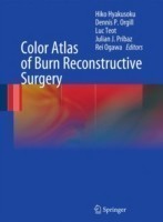 Color Atlas of Burn Reconstructive Surgery