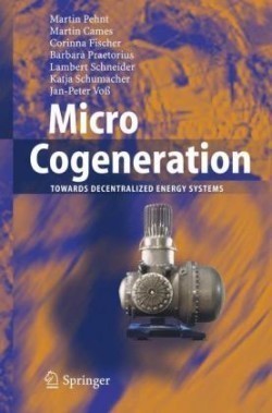 Micro Cogeneration