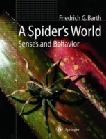 A Spider's World Senses and Behavior