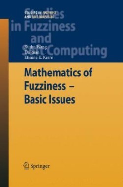 Mathematics of Fuzziness—Basic Issues