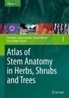 Atlas of Stem Anatomy in Herbs, Shrubs and Trees V1