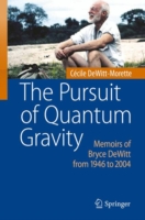 Pursuit of Quantum Gravity