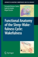 Functional Anatomy of the Sleep-Wakefulness Cycle: Wakefulness