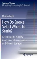 How Do Spores Select Where to Settle?