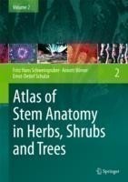 Atlas of Stem Anatomy in Herbs, Shrubs and Trees V2