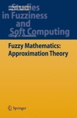 Fuzzy Mathematics: Approximation Theory