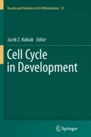 Cell Cycle in Development