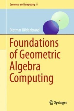 Foundations of Geometric Algebra Computing*