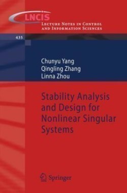 Stability Analysis and Design for Nonlinear Singular Systems