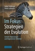 Im Fokus: Strategien der Evolution