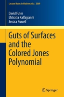 Guts of Surfaces and the Colored Jones Polynomial