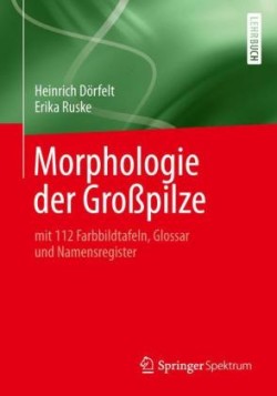 Morphologie der Großpilze