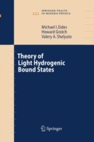 Theory of Light Hydrogenic Bound States