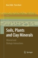 Soils, Plants and Clay Minerals