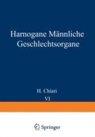 Harnorgane Männliche Geschlechtsorgane