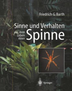 Sinne und Verhalten: aus dem Leben einer Spinne