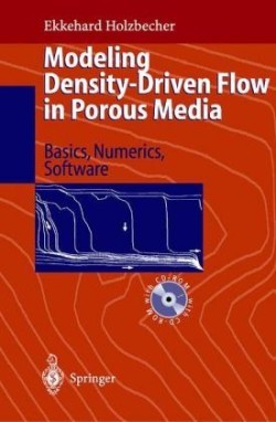 Modeling Density-Driven Flow in Porous Media