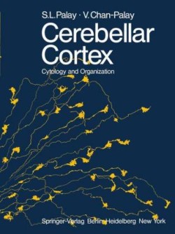Cerebellar Cortex