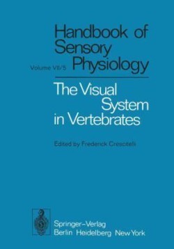 Visual System in Vertebrates