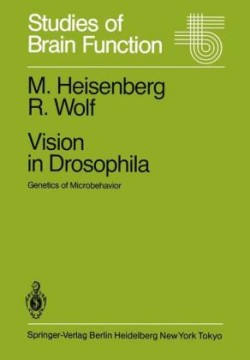 Vision in Drosophila