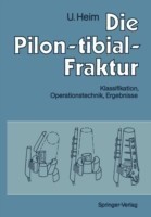 Die Pilon-tibial-Fraktur