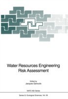Water Resources Engineering Risk Assessment