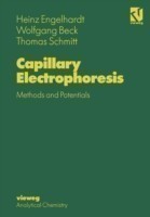 Capillary Electrophoresis : Methods and Potentials