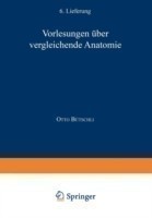 Vorlesungen Über Vergleichende Anatomie