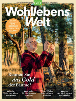 Wohllebens Welt / Wohllebens Welt 7/2020 - Kennen Sie das Gold der Bäume?. Nr.3/2020