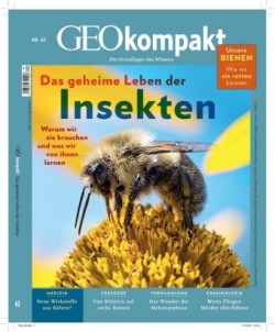 GEOkompakt, Bd. 62/2020, GEOkompakt / GEOkompakt 62/2020 - Das geheime Leben der Insekten