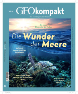 GEOkompakt, Bd. 66/2021, GEOkompakt / GEOkompakt 66/2021 - Die Wunder der Meere