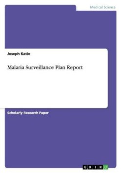 Malaria Surveillance Plan Report