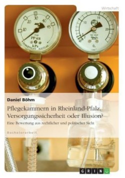 Pflegekammern in Rheinland-Pfalz. Versorgungssicherheit oder Illusion?