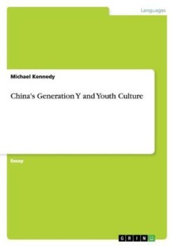 China's Generation Y and Youth Culture