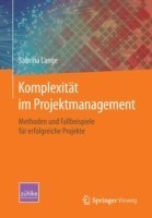 Komplexität im Projektmanagement