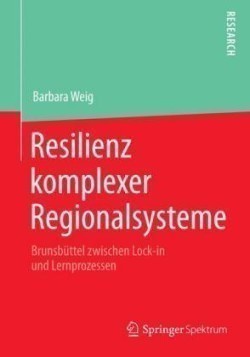 Resilienz komplexer Regionalsysteme