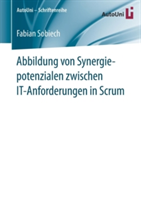 Abbildung von Synergiepotenzialen zwischen IT-Anforderungen in Scrum