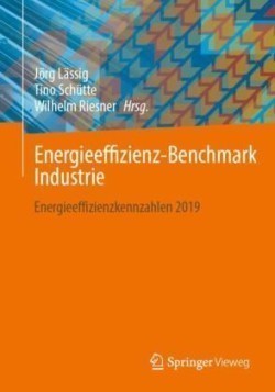 Energieeffizienz-Benchmark Industrie