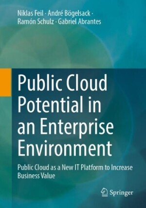Public Cloud Potential in an Enterprise Environment