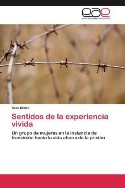 Sentidos de la experiencia vivida