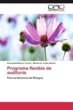 Programa flexible de auditoría