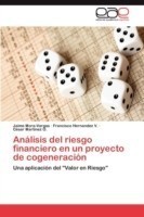 Analisis del Riesgo Financiero En Un Proyecto de Cogeneracion