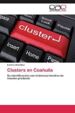 Clusters En Coahuila