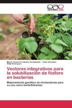 Vectores Integrativos Para La Solubilizacion de Fosforo En Bacterias