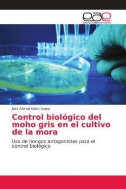 Control biológico del moho gris en el cultivo de la mora