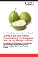 Montaje de Una Planta Procesadora de Guayaba Manzana y Guayaba Pera