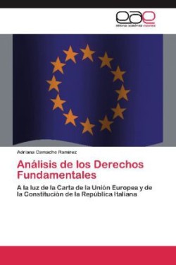 Analisis de Los Derechos Fundamentales