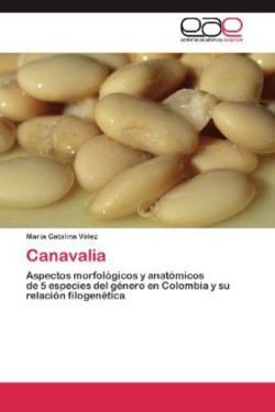 Canavalia